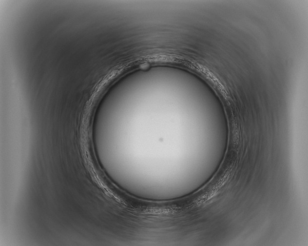 X0000115350625200911101137