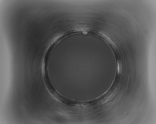 X0000115350627200911101137