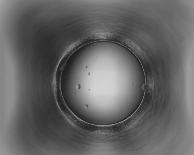X0000115350630200911101137
