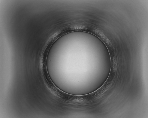X0000115350631200911101137