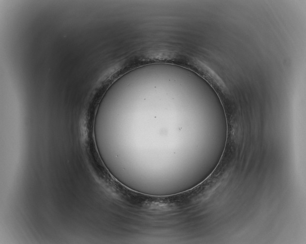 X0000115350635200911101137