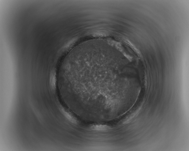 X0000115350637200911101137
