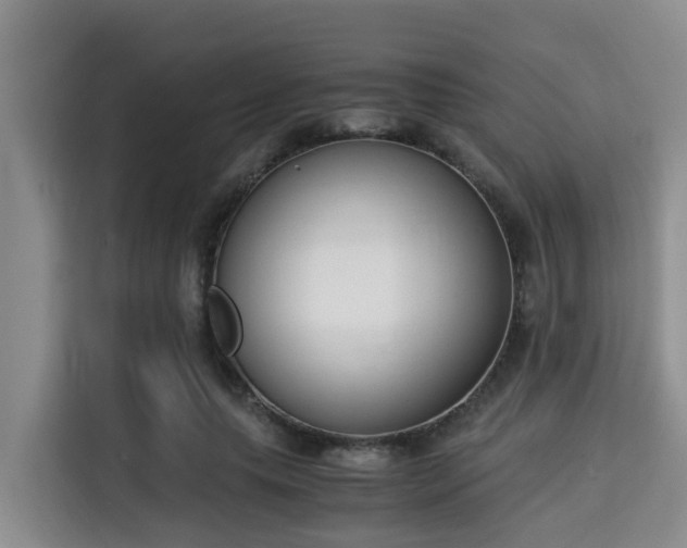 X0000115350639200911101137