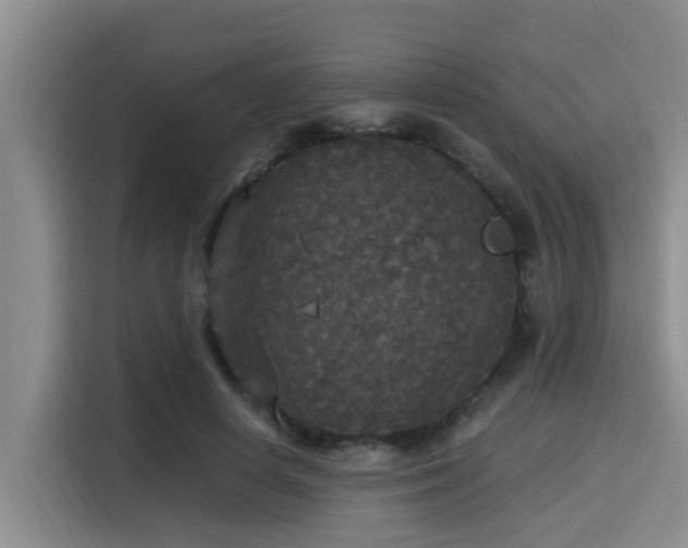 X0000115350642200911101137