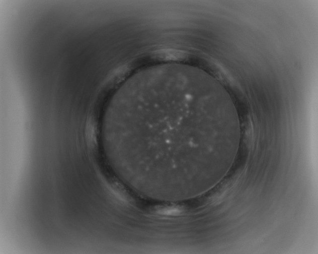 X0000115350643200911101137