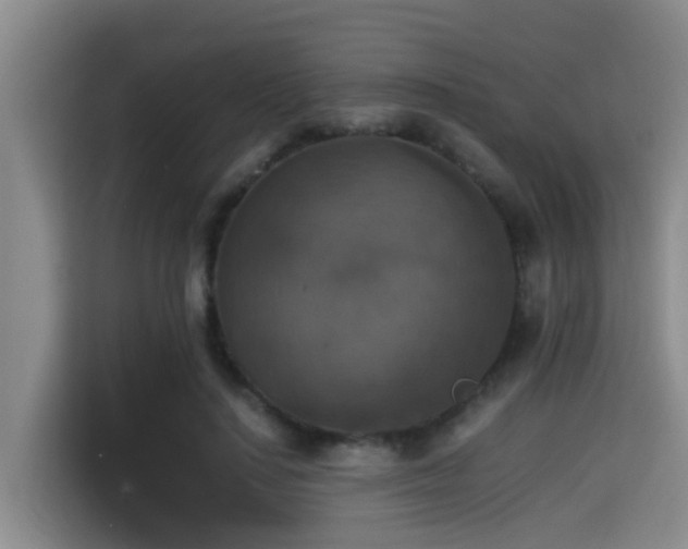 X0000115350644200911101137