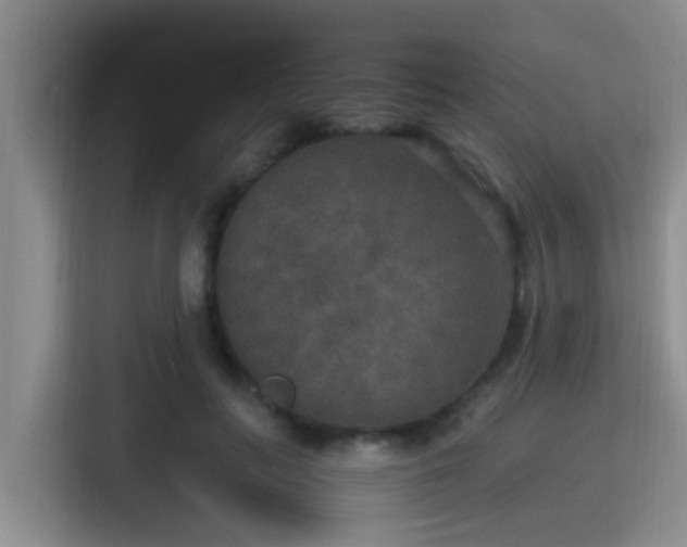 X0000115350647200911101137