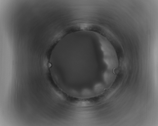 X0000115350650200911101137