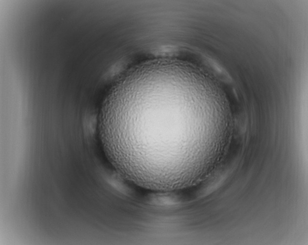 X0000115350652200911101137