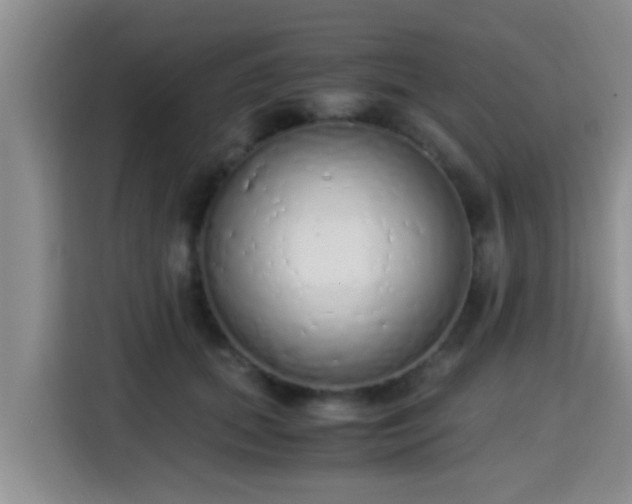 X0000115350655200911101137