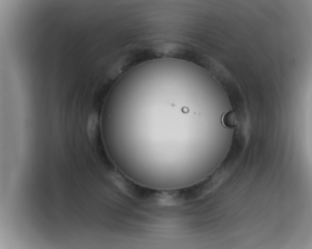 X0000115350660200911101137