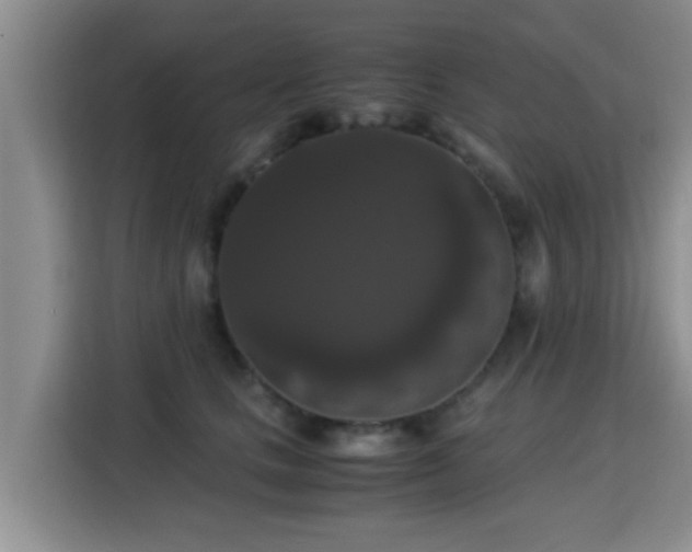 X0000115350661200911101137