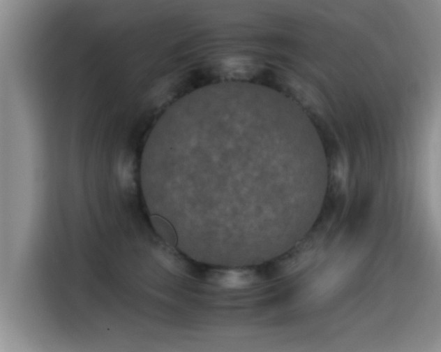 X0000115350663200911101137