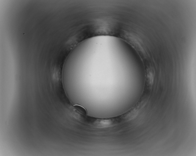 X0000115350665200911101137