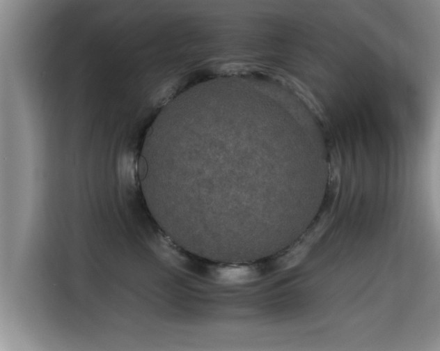 X0000115350669200911101137