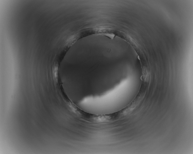 X0000115350670200911101137