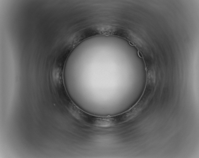 X0000115350671200911101137