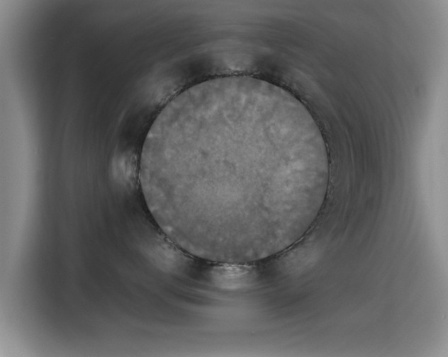 X0000115350672200911101137