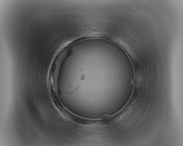 X0000115350674200911101137