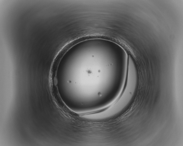 X0000115350676200911101137