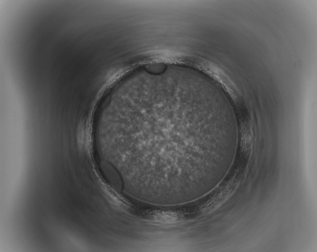 X0000115350677200911101137