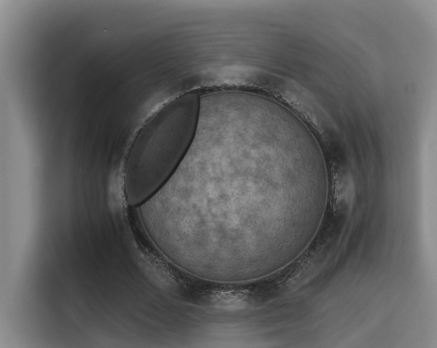 X0000115350680200911101137