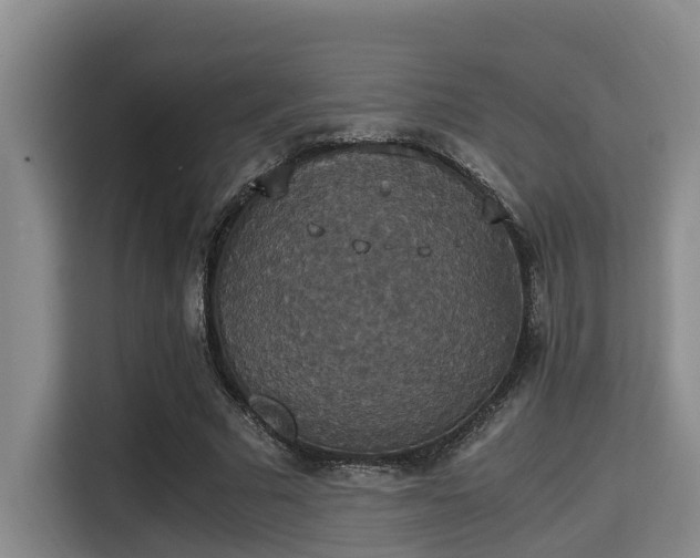 X0000115350681200911101137