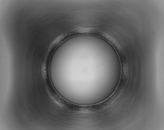 X0000115350682200911101136