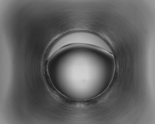 X0000115350684200911101136