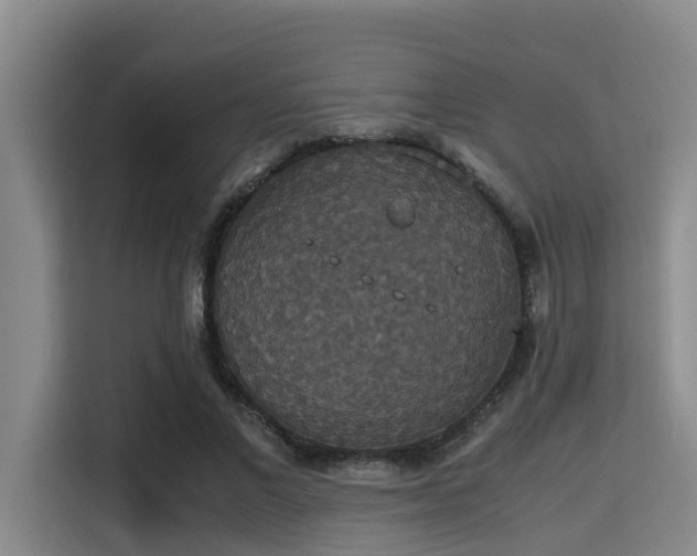 X0000115350685200911101136