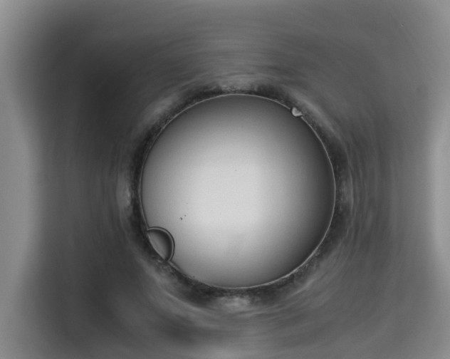X0000115350687200911101136