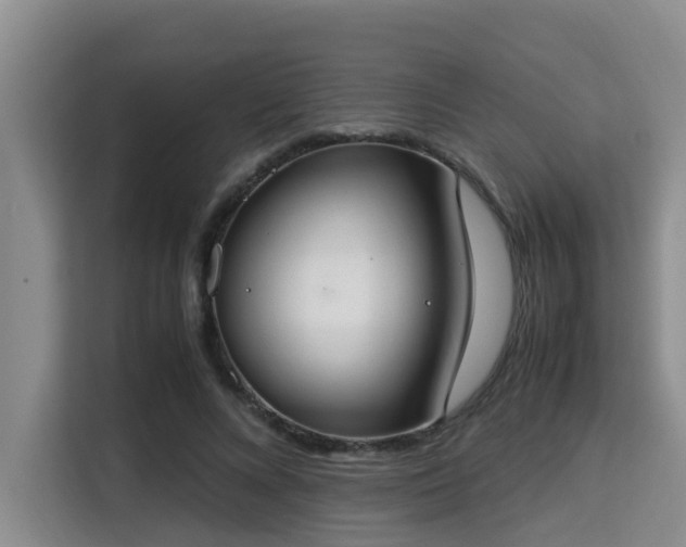 X0000115350688200911101136