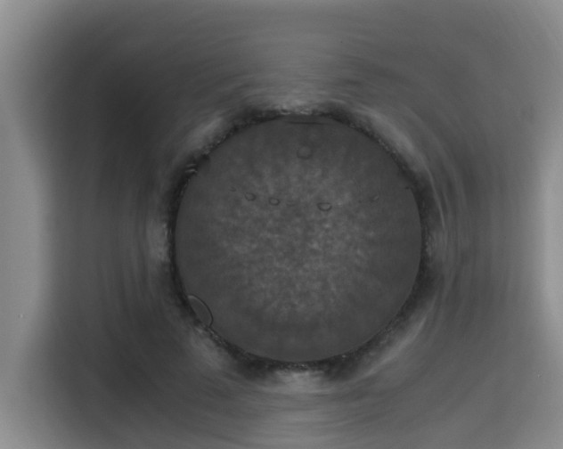 X0000115350689200911101136