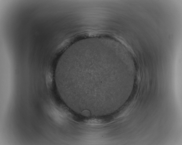 X0000115350691200911101136