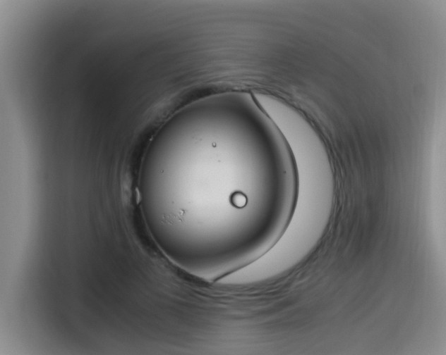 X0000115350693200911101136