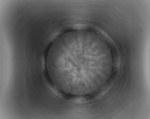 X0000115350696200911101136