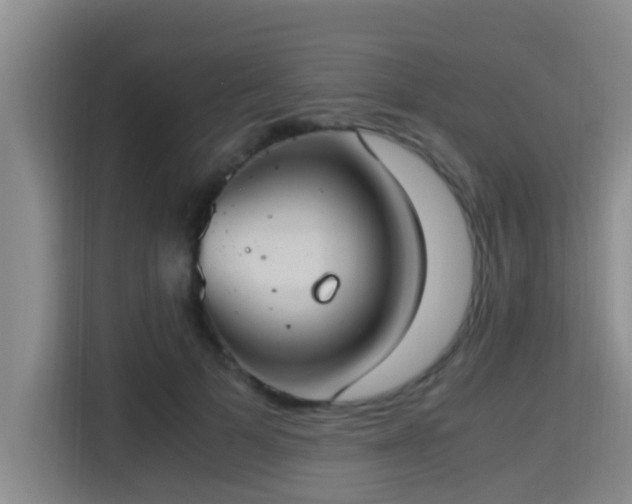 X0000115350697200911101136