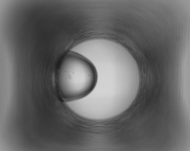 X0000115350700200911101136