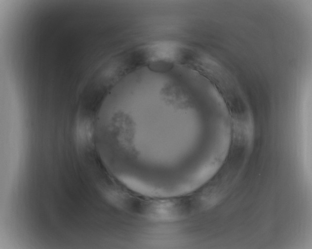X0000115350701200911101136