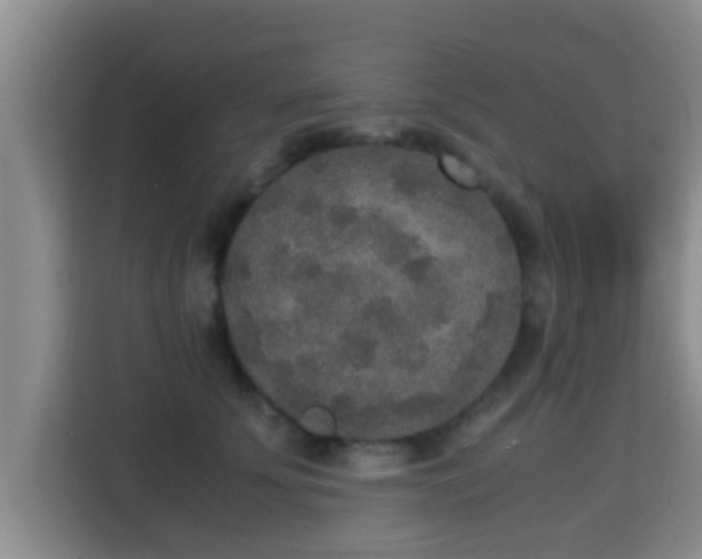 X0000115350707200911101136