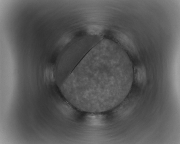 X0000115350712200911101136