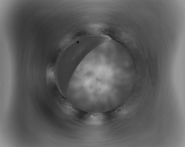 X0000115350720200911101136