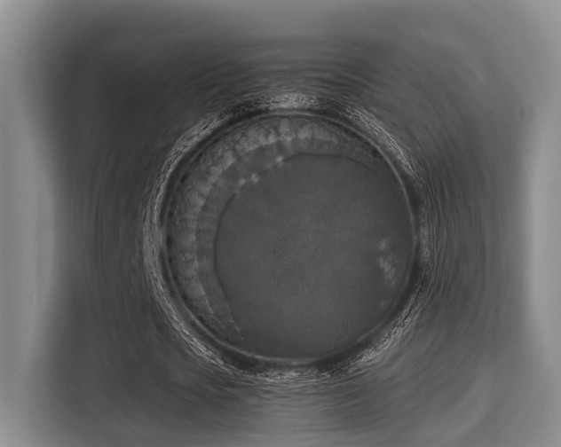 X0000115350721200911101135