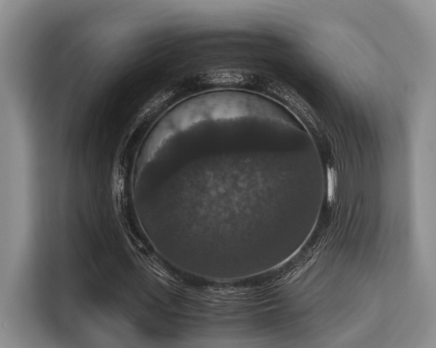 X0000115350723200911101135