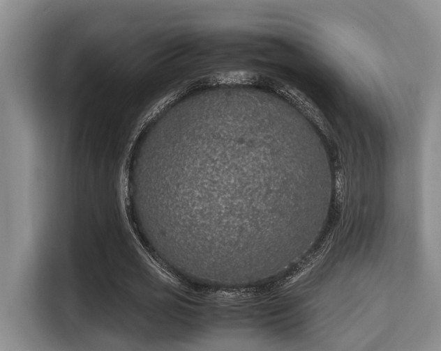 X0000115350725200911101135