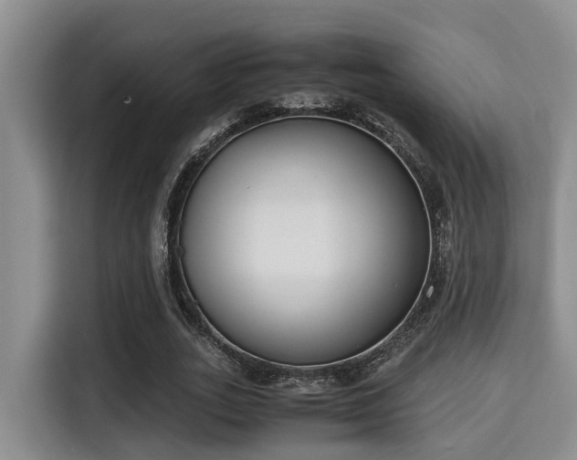 X0000115350727200911101135