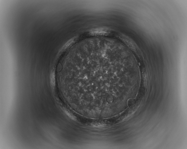 X0000115350729200911101135