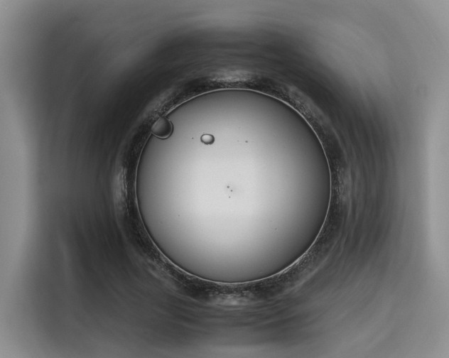 X0000115350731200911101136