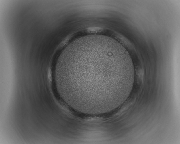 X0000115350734200911101136