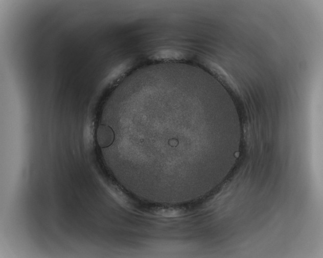 X0000115350735200911101136